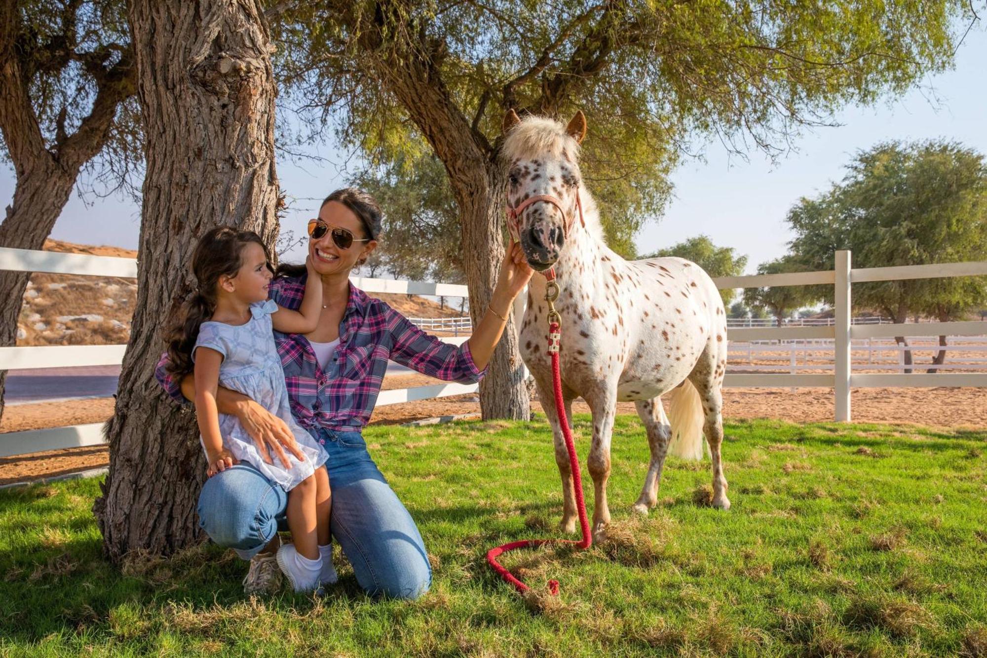 The Ritz-carlton Khaimah, Al Wadi Desert